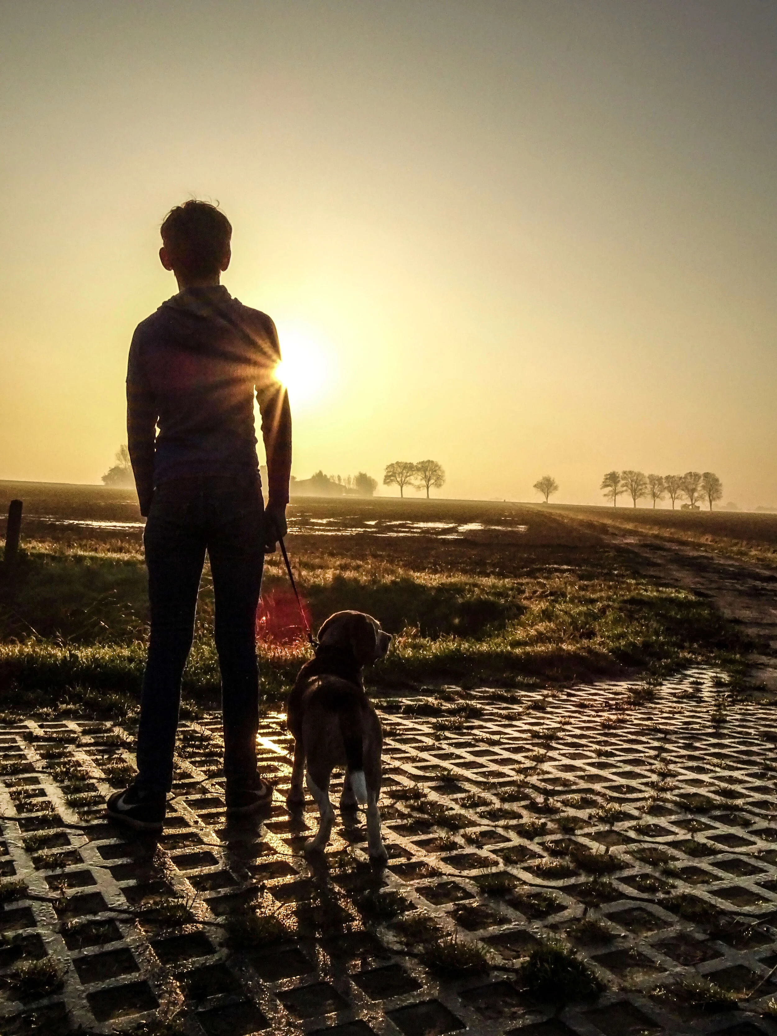 Mario Wagenaar Photography