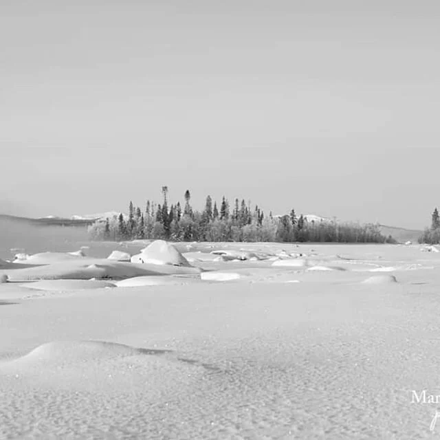 Swedish Lapland is so hard to forget about! #sweden #lapland