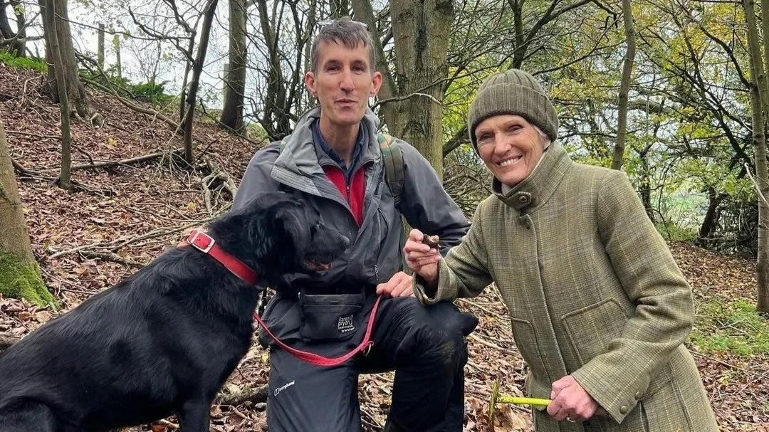 A Clear Path Forward - The English Truffle Company