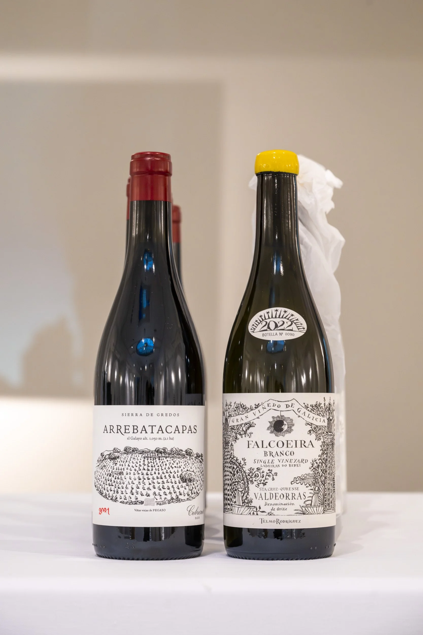 Cía de Vinos Telmo Rodríguez: Pegaso Arrebatacapas 2021 & Falcoeira Branco 2022
