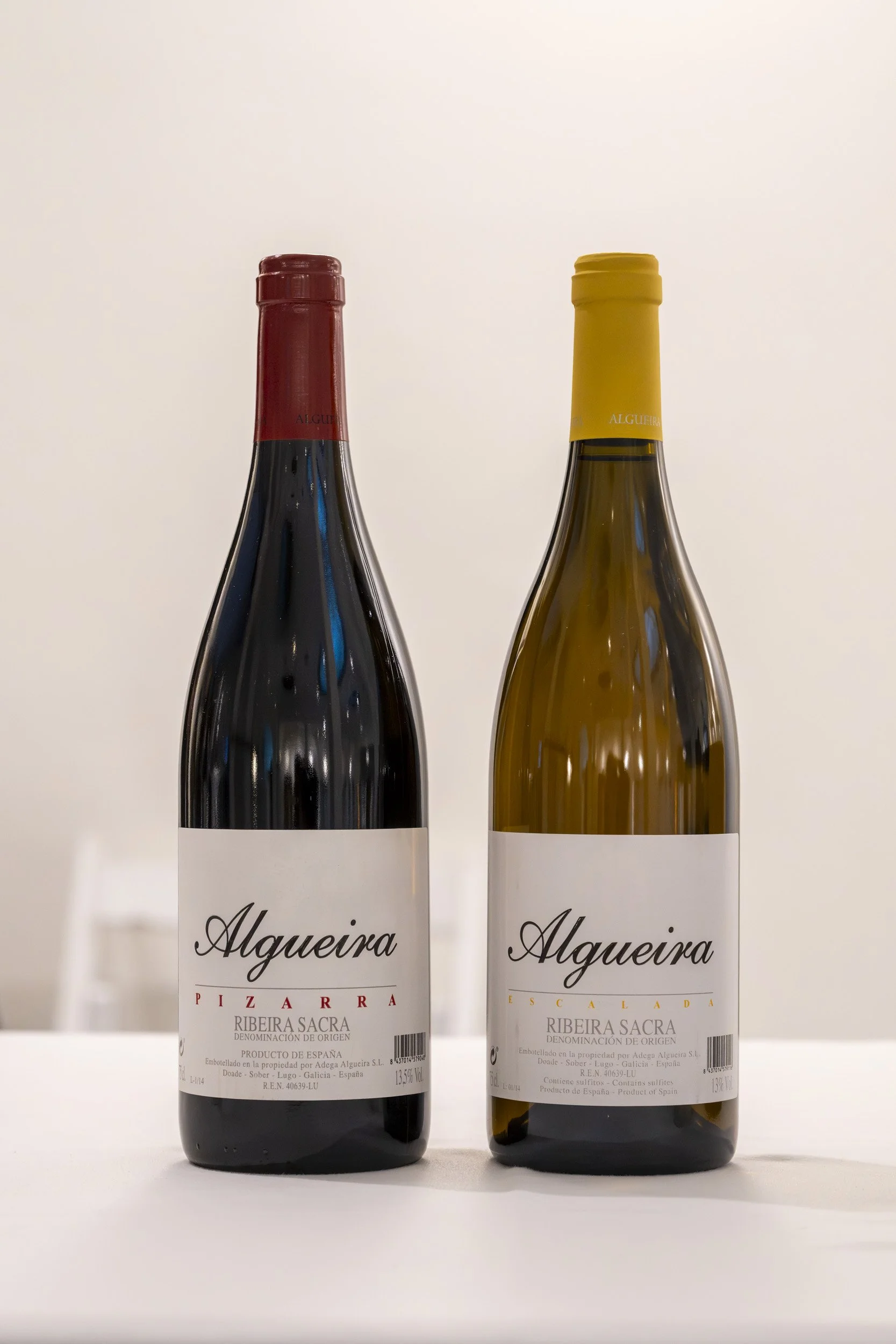 Algueira: Pizarra 2014 & Escalada 2014
