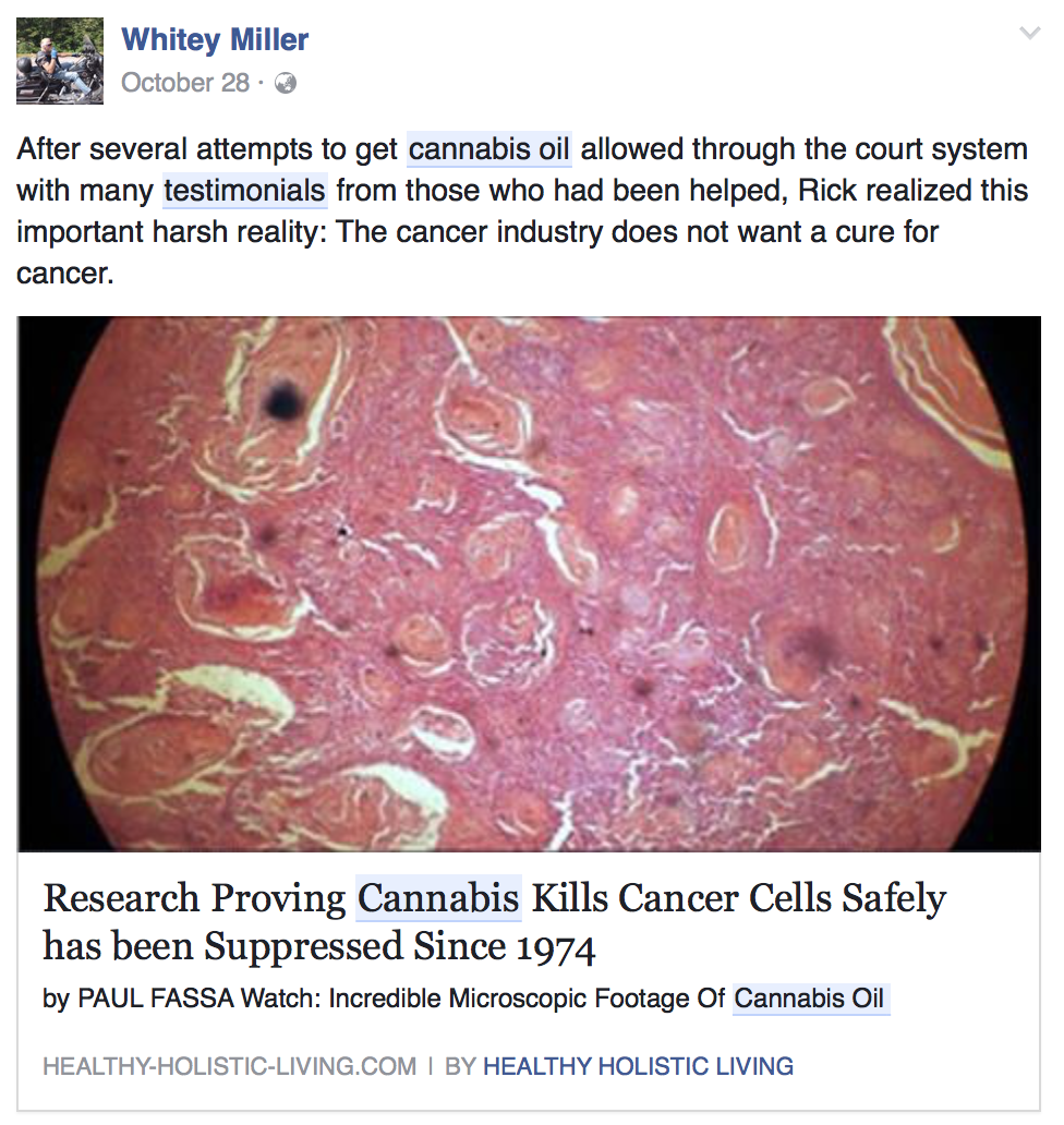 cannabis-kills-cancer-cells.png