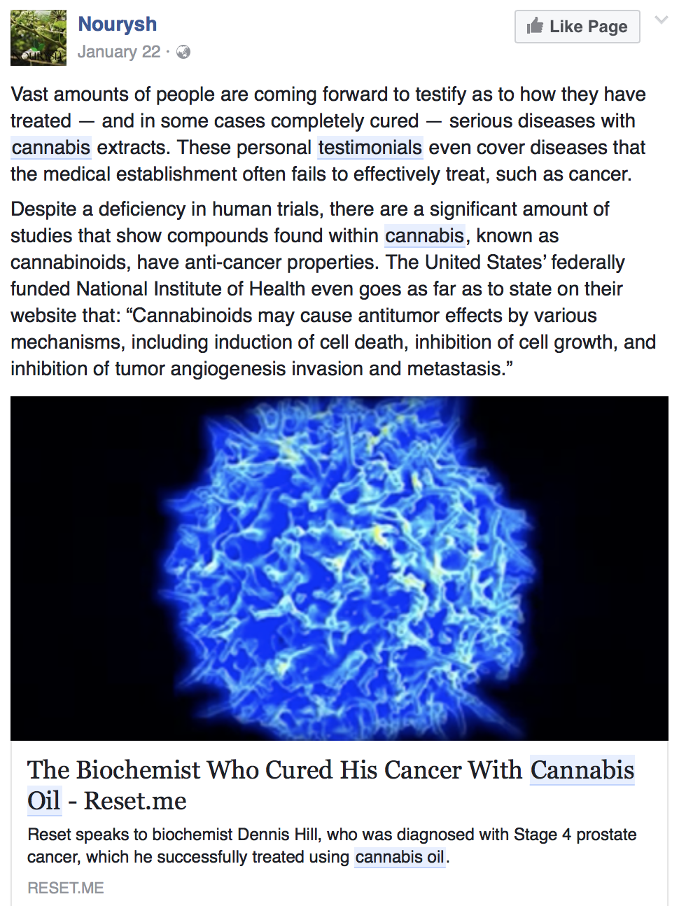 cannabis-oil-cured-his-cancer-2.png