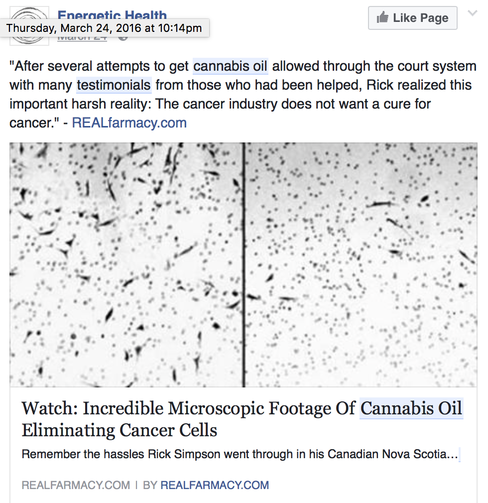 cannabis-oil-eliminating-cancer-cells.png