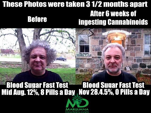 cannabis-and-blood-sugar-2.jpg