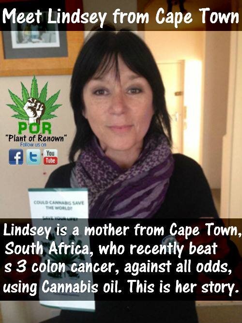 cannabis-oil-cures-colon-cancer.jpg