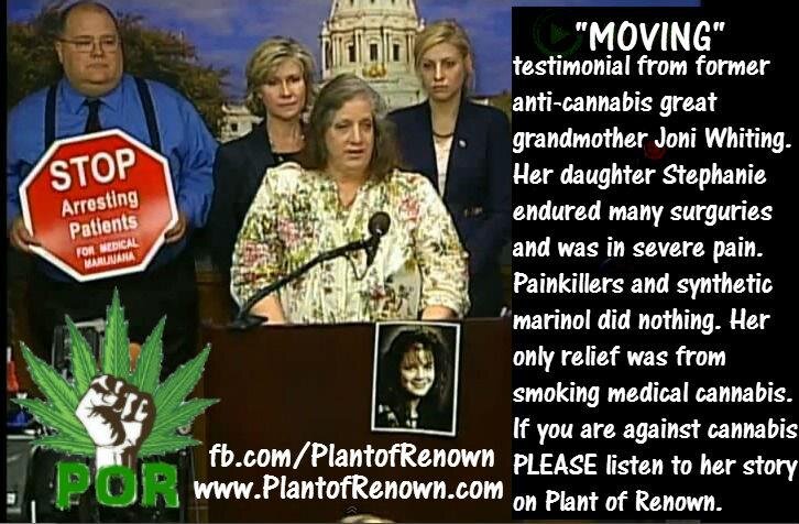 cannabis-story.jpg