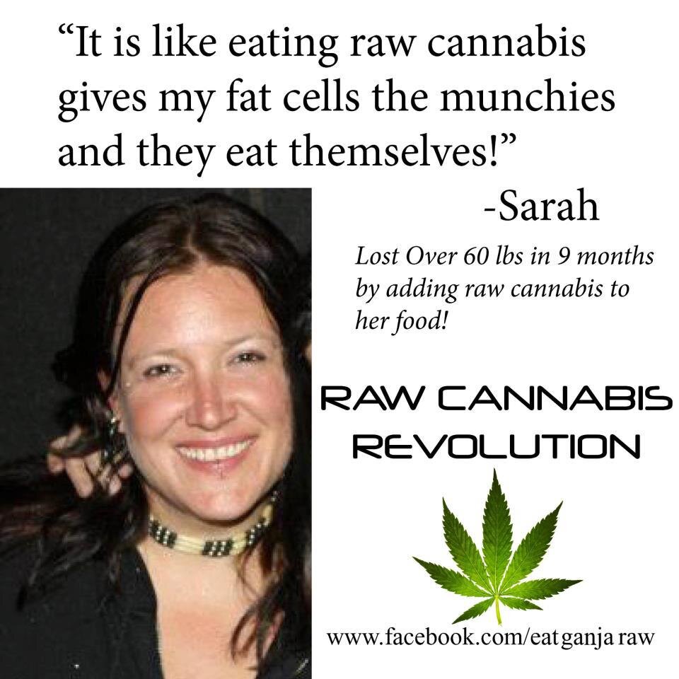 eating-raw-cannabis.jpg