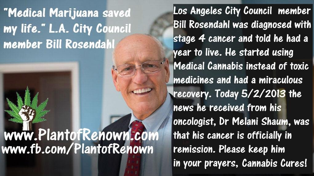 medical-marijuana-saved-my-life.jpg