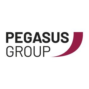_pegasus (LOW RES).jpg