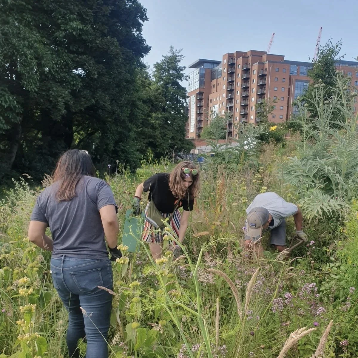 Workshop: Gardening in the City