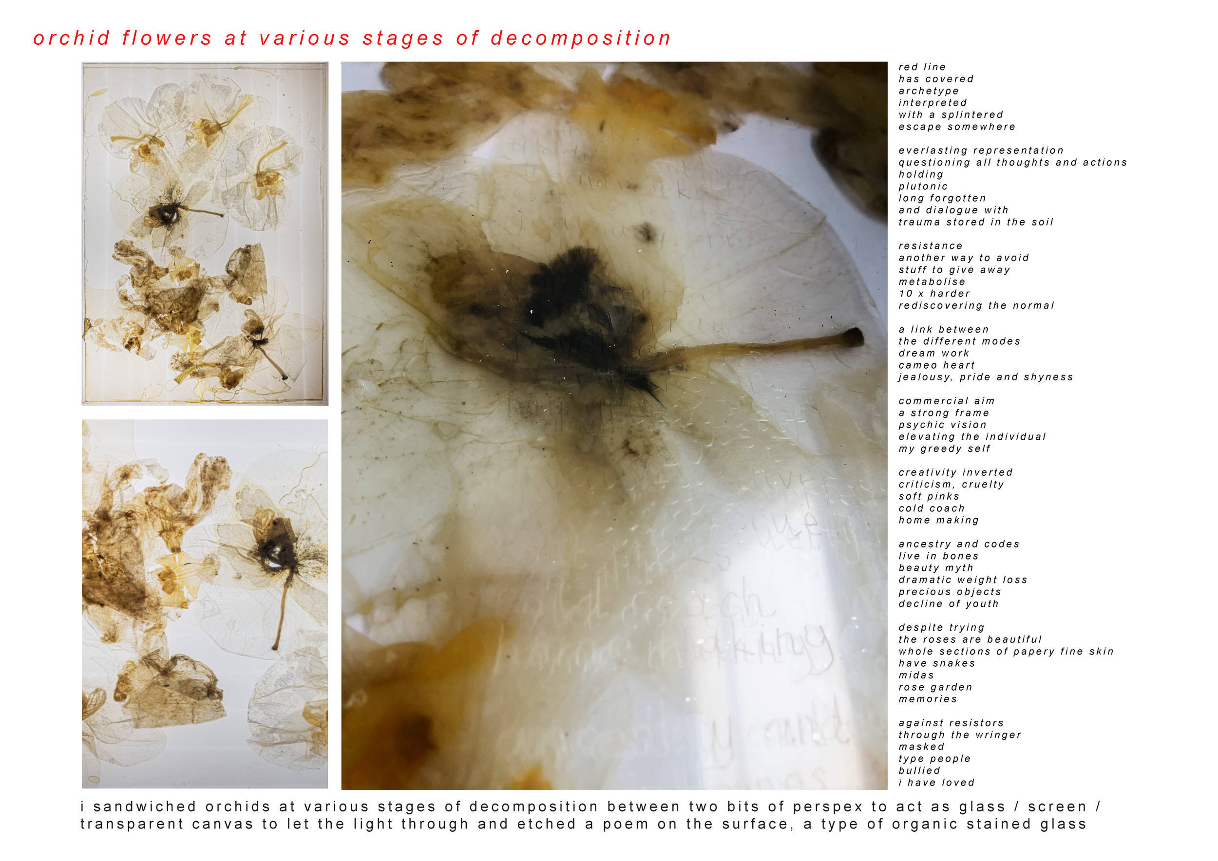 portfolio trimester three presentation_final_pt2-01.png