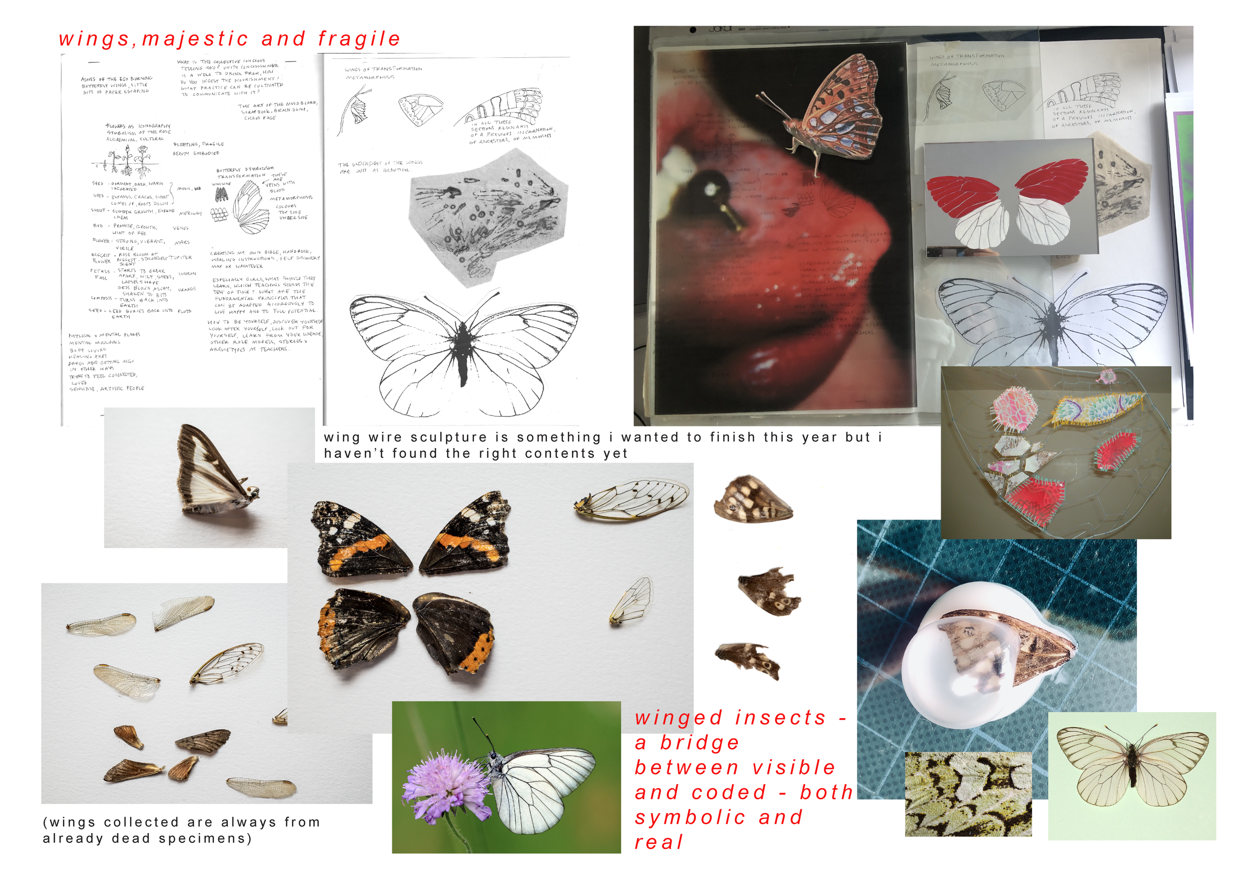 portfolio trimester three presentation_final_pt1-09.png