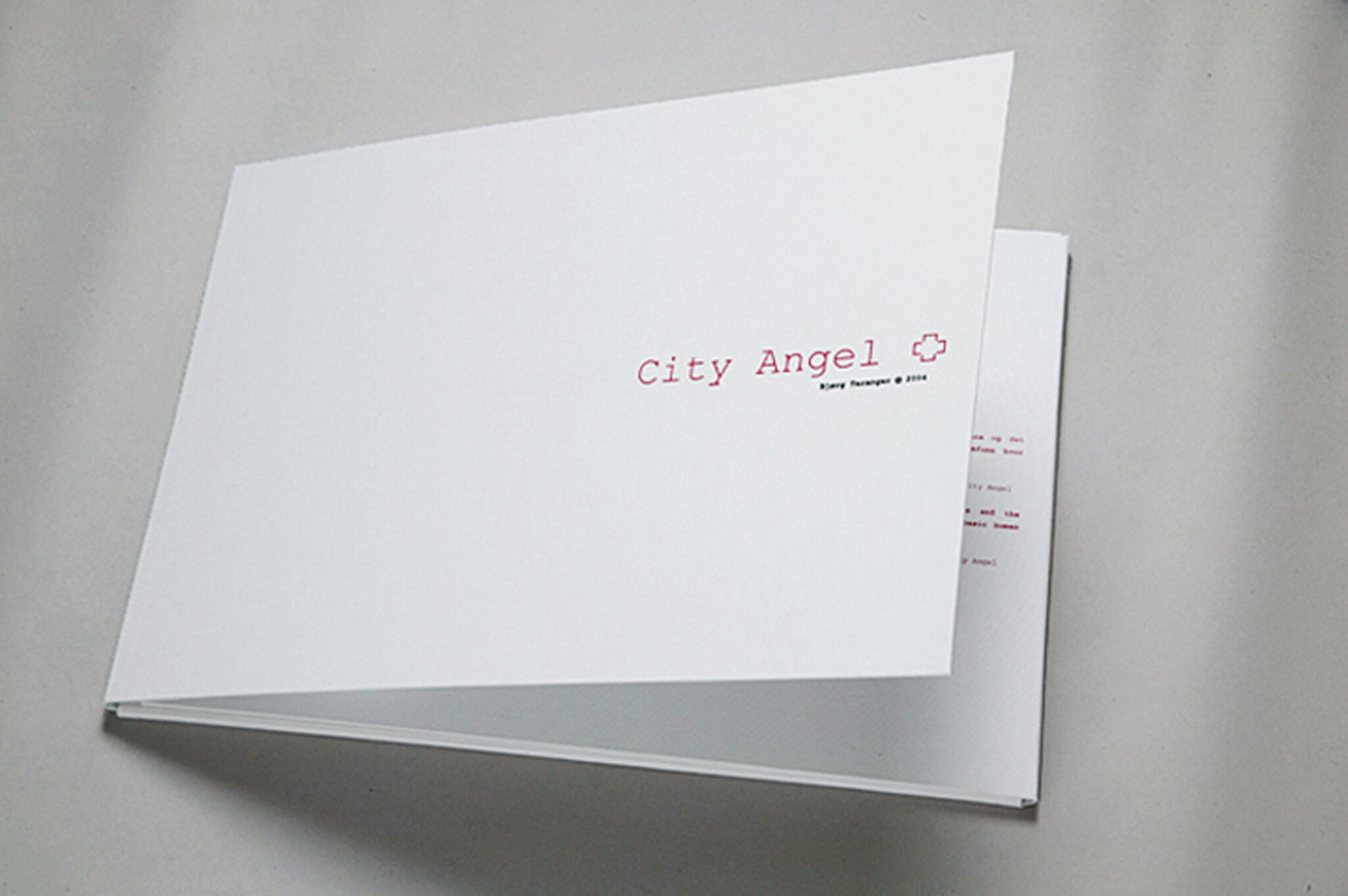 City Angel portofolio silk screen on paper.jpg
