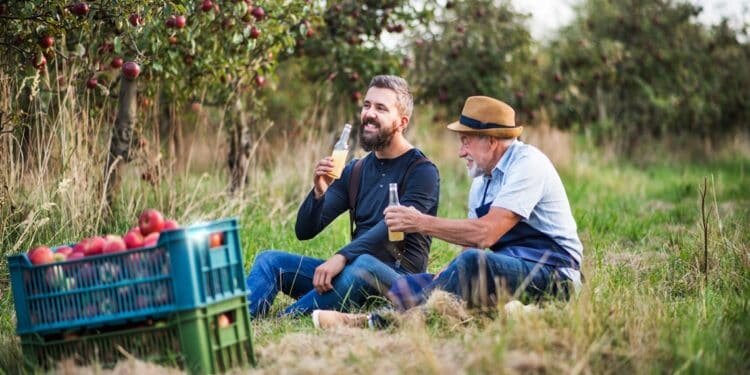 a-senior-man-with-adult-son-drinking-cider-in-appl-R2KJWHF-750x375.jpg