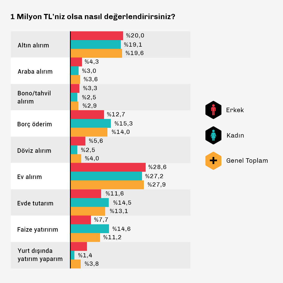 Birikim_data1.jpg