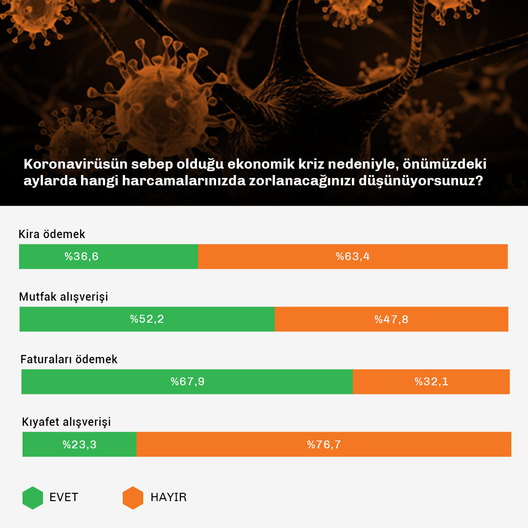 korona_hanehalkı_data (1).jpg