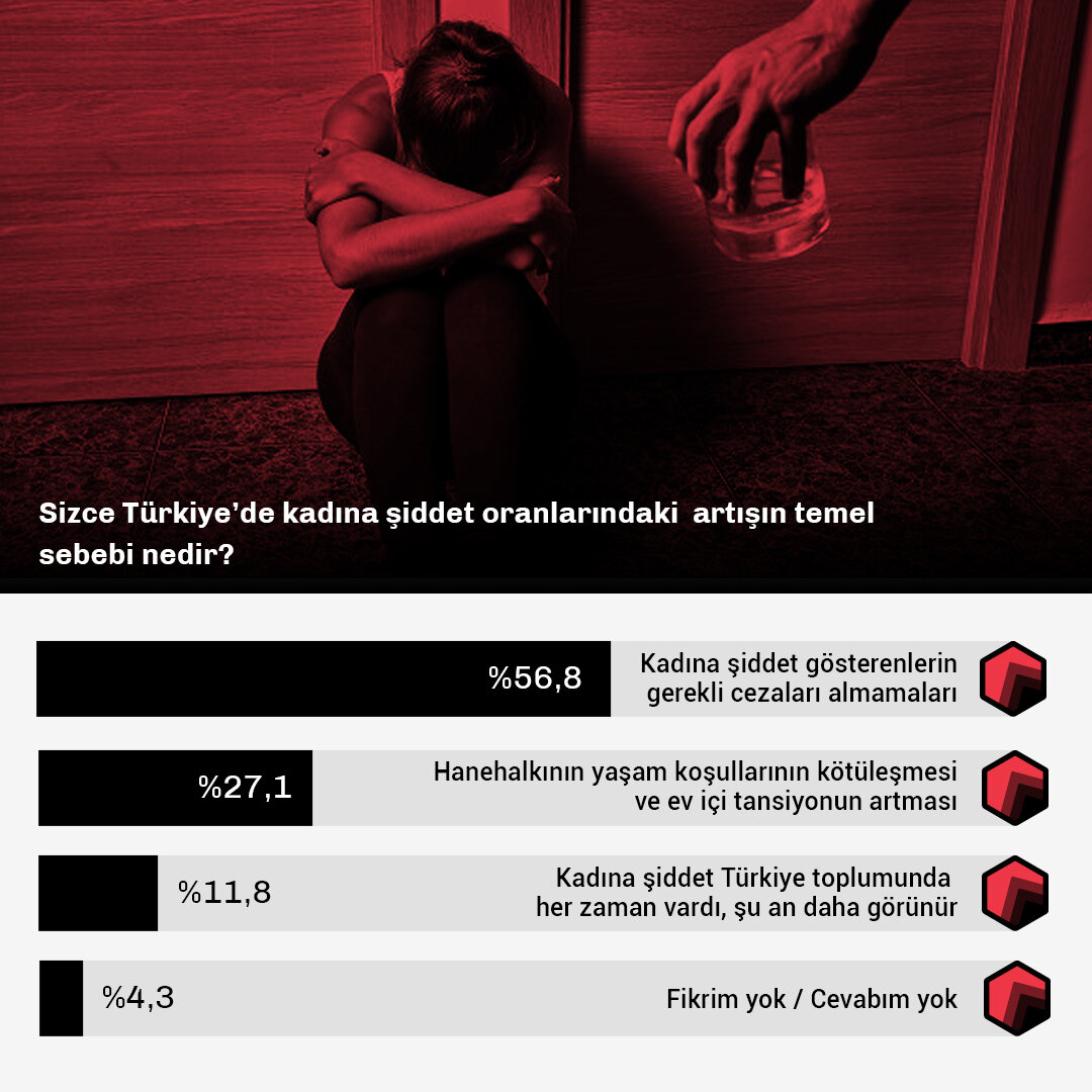 Kadına Şiddetin Temel Sebebi Nedir-Data.jpg
