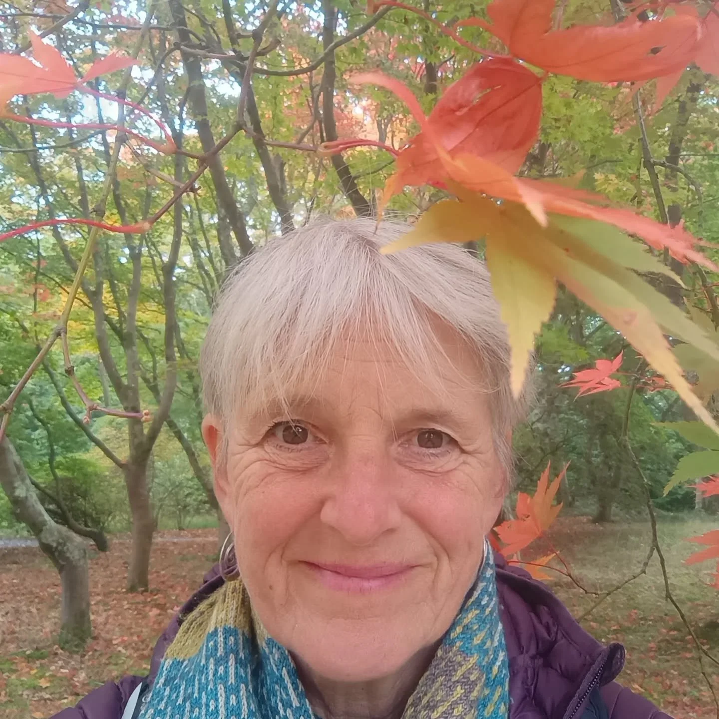 As a funeral celebrant I am always aware of the cyclical nature of life and the changing seasons. My work schedule is erratic to say the least, so today I was at the stunning Bodnant gardens, enjoying the autumnal  colours, thinking about a funeral I