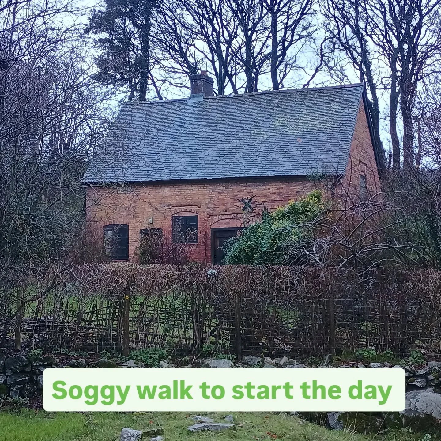 'The weather's always worse from the inside.' Today I donned my overtrousers first thing  and splashed up to this beautiful Quaker chapel, a couple of fields away. It has a phenomenally peaceful feeling and great acoustics, so I had a little sing and