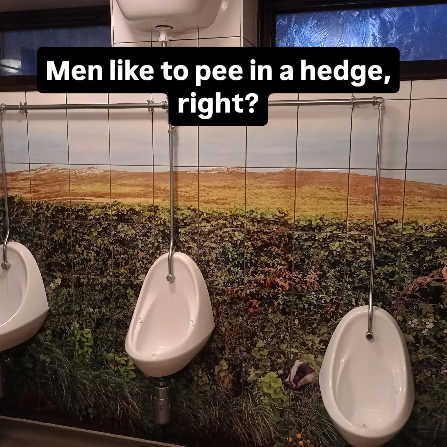 Lovely walk with family yesterday then pub dinner #stiperstonespub. Landlord Phil proudly showed me their bespoke loo design- even the gents. This is a work of art and full of Phil's humour ( wood'pecker' and a squirrel - after your nuts) All based o