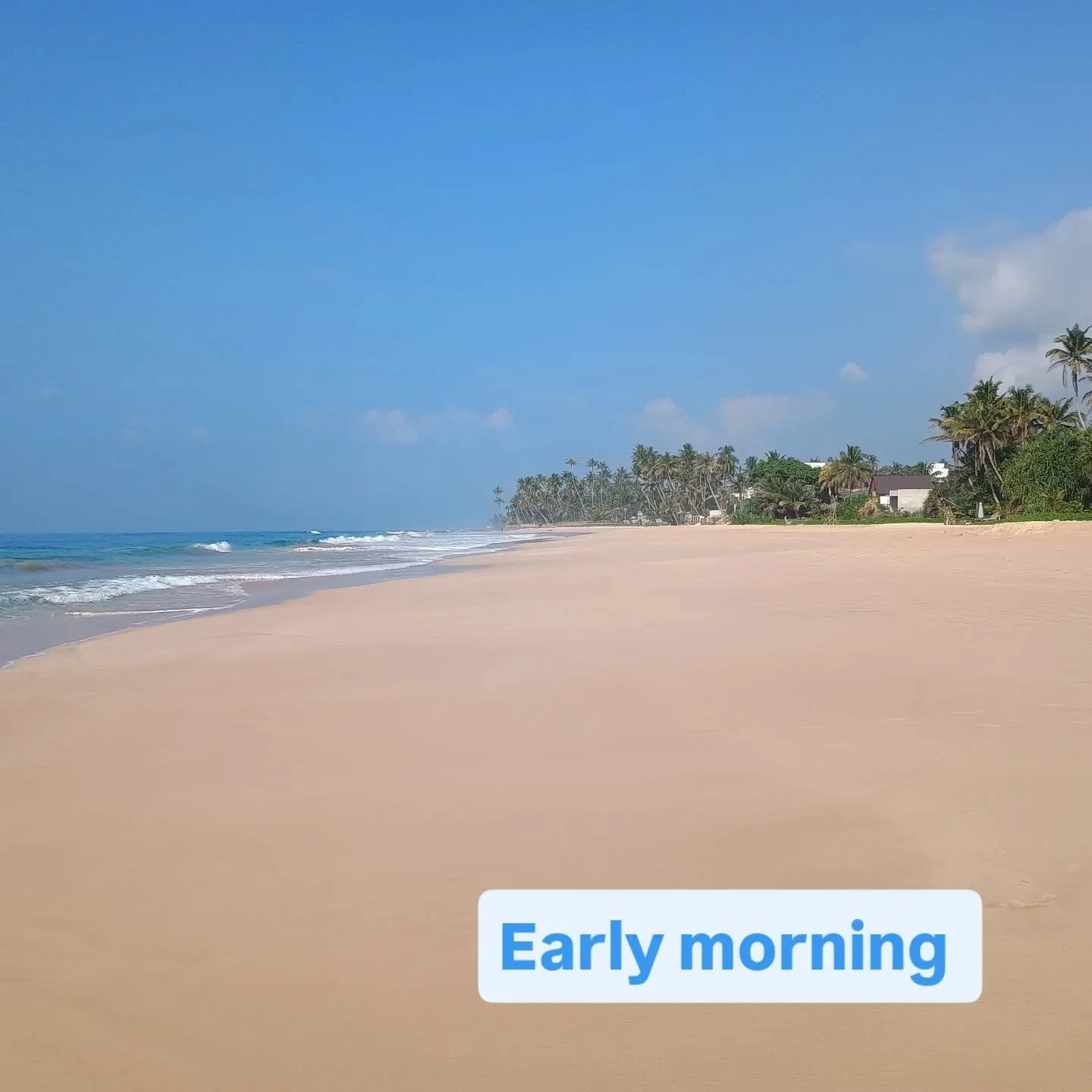 I didn't realise that I was staying in a trendy surf hangout area till I got here.  I am definitely the outlier in terms of demographic! 
Here's some observations on the crowd:

Blonde haired girls with bulbous lips
Bits of string round skinny hips 
