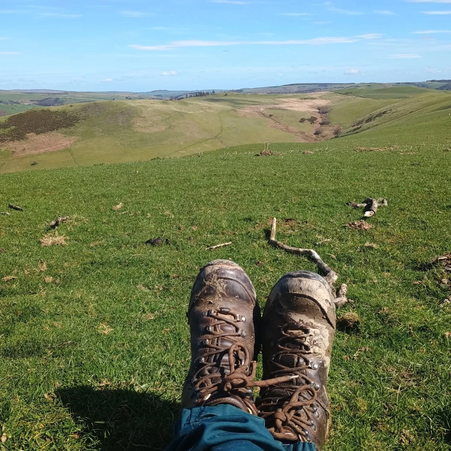 Lovely birthday ... Long sunny walk with curlews (joy!) , a lunchtime beer, fire supper with friends and a beautiful sunset.  My cup floweth over.