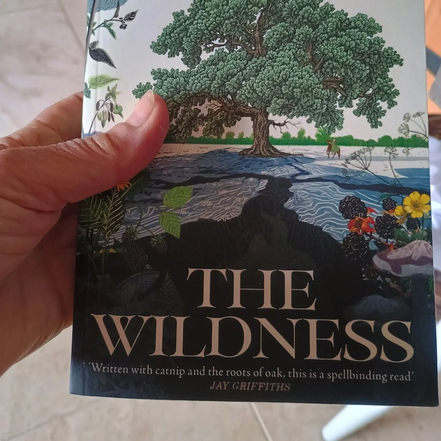 My good friend @anne.keer has written this great book. I playfully referred to it as a 'feminist environmental costume drama', which she took in good heart! It is an historical tale for our times and I think it will find many fans. 

#climatefiction 