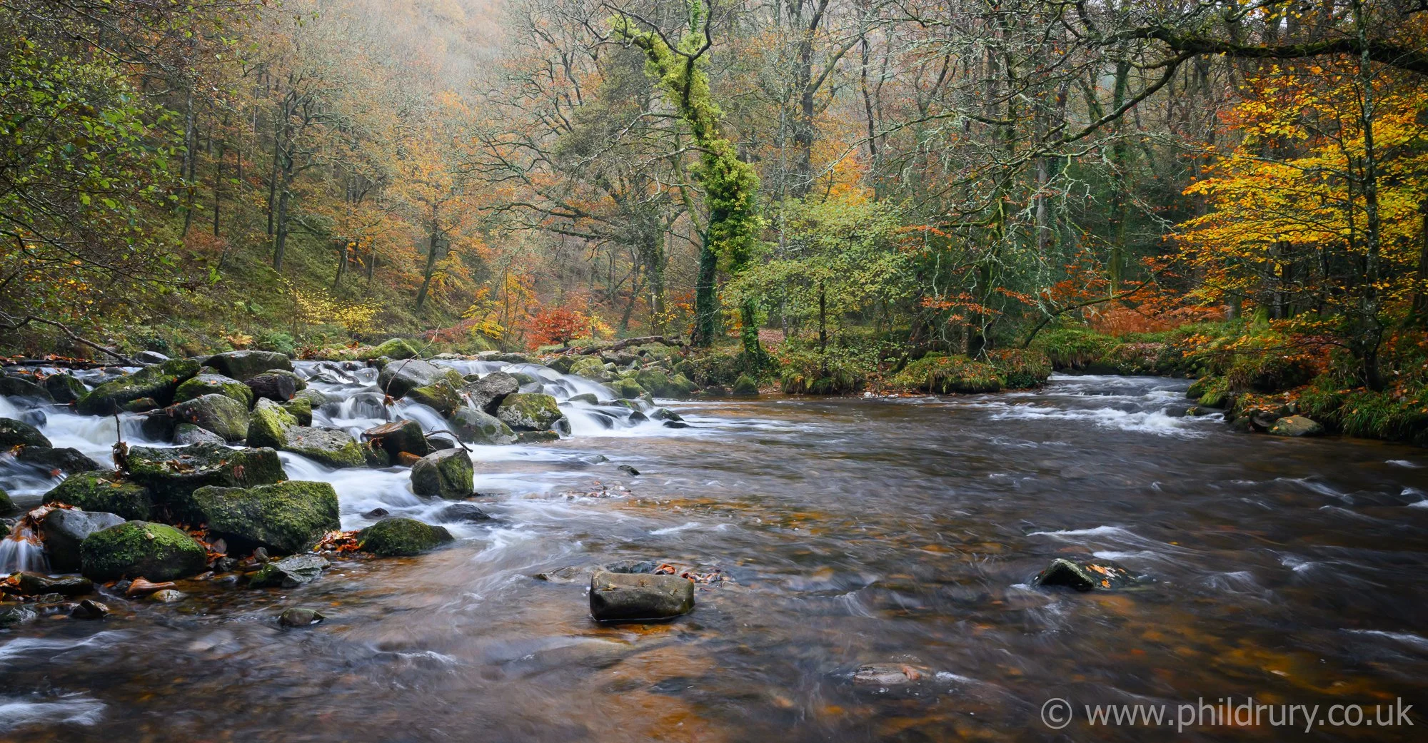 Autumn mist hangs in the trees over this delightfall  waterfall near Fingle Bridge, Dartmoor
