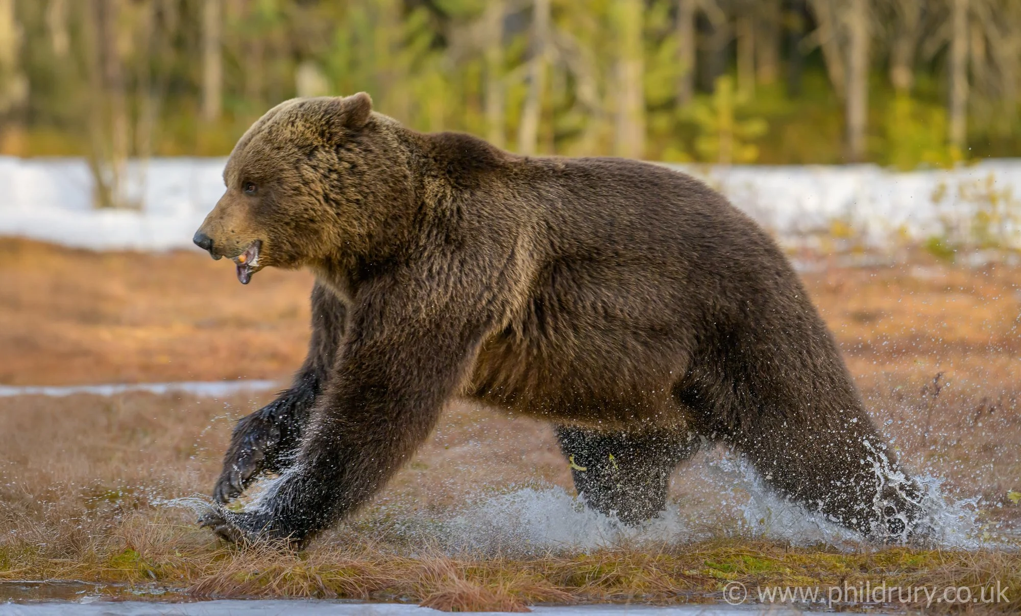 Running from a rival