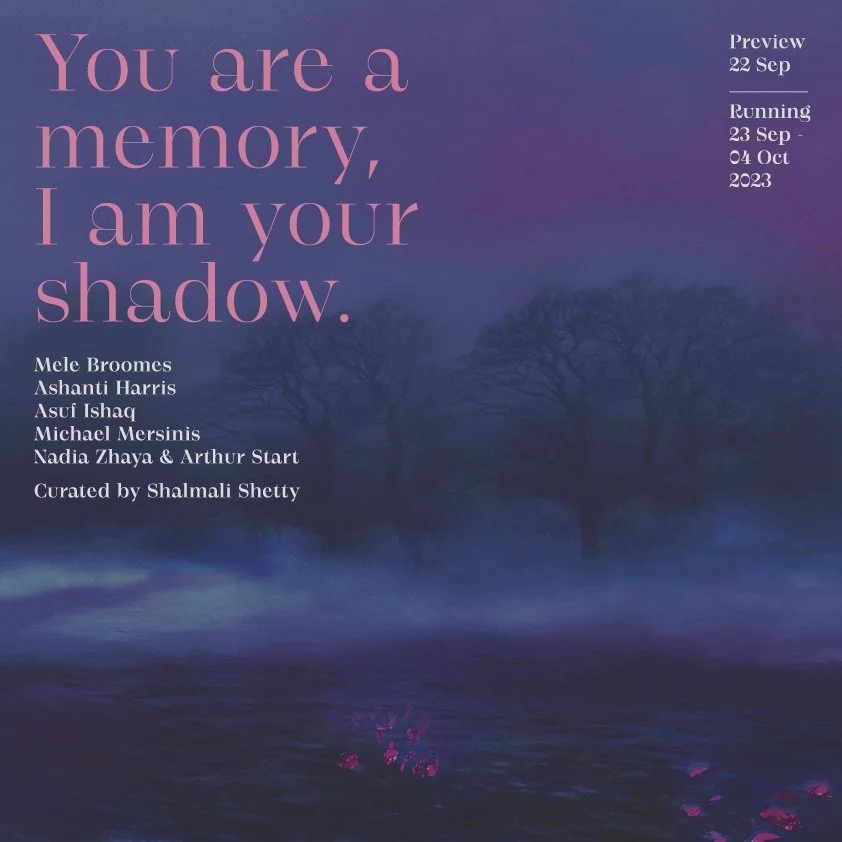 ‘You are a memory, I am your shadow’  