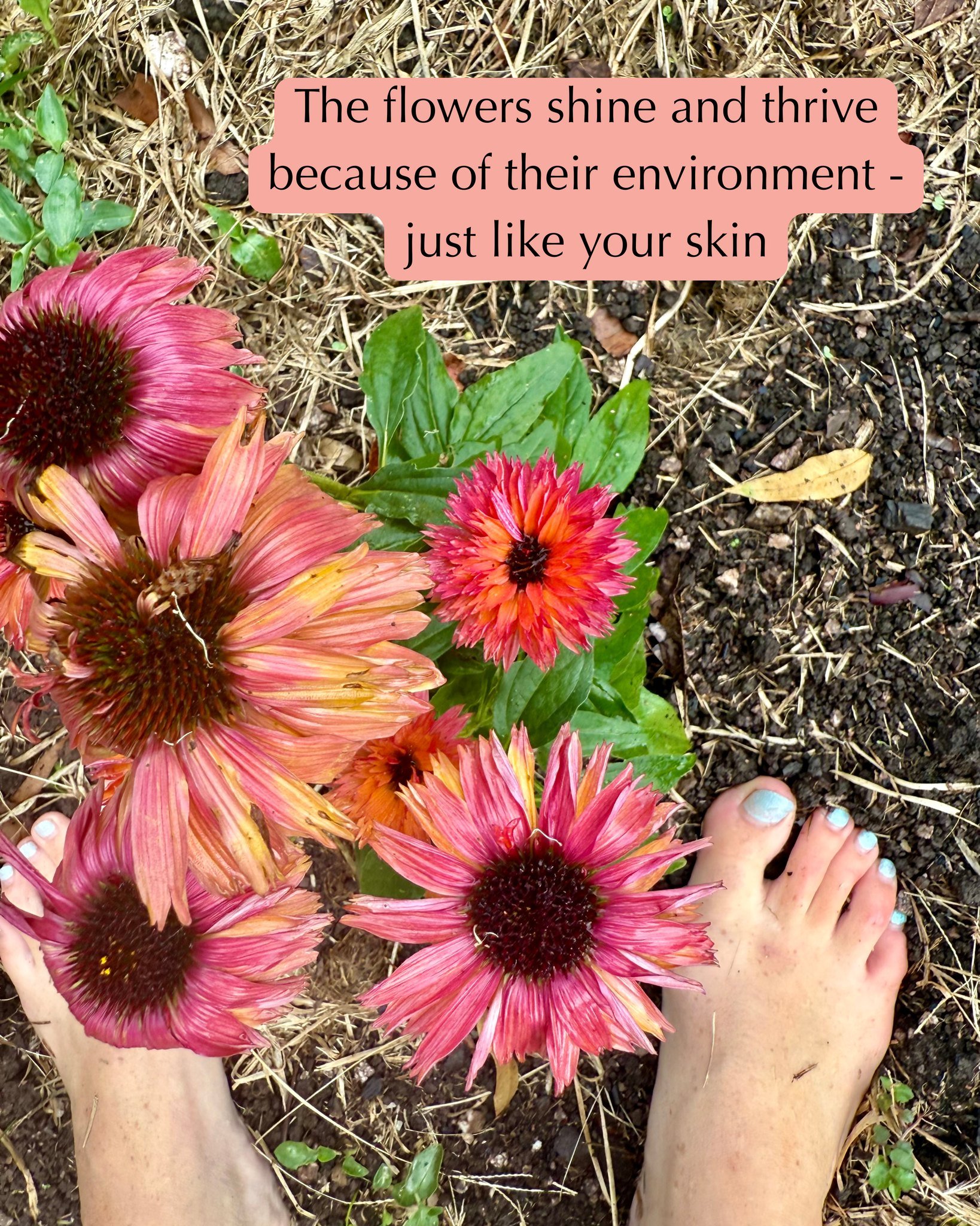 When your environment is nutrient rich, calm, watered and taken care of, your skin thrives.
Otherwise, it's trying desperately to send you messages.
We help decipher what your skin is trying to tell you.

If you need help.....Acne &amp; Eczema is our