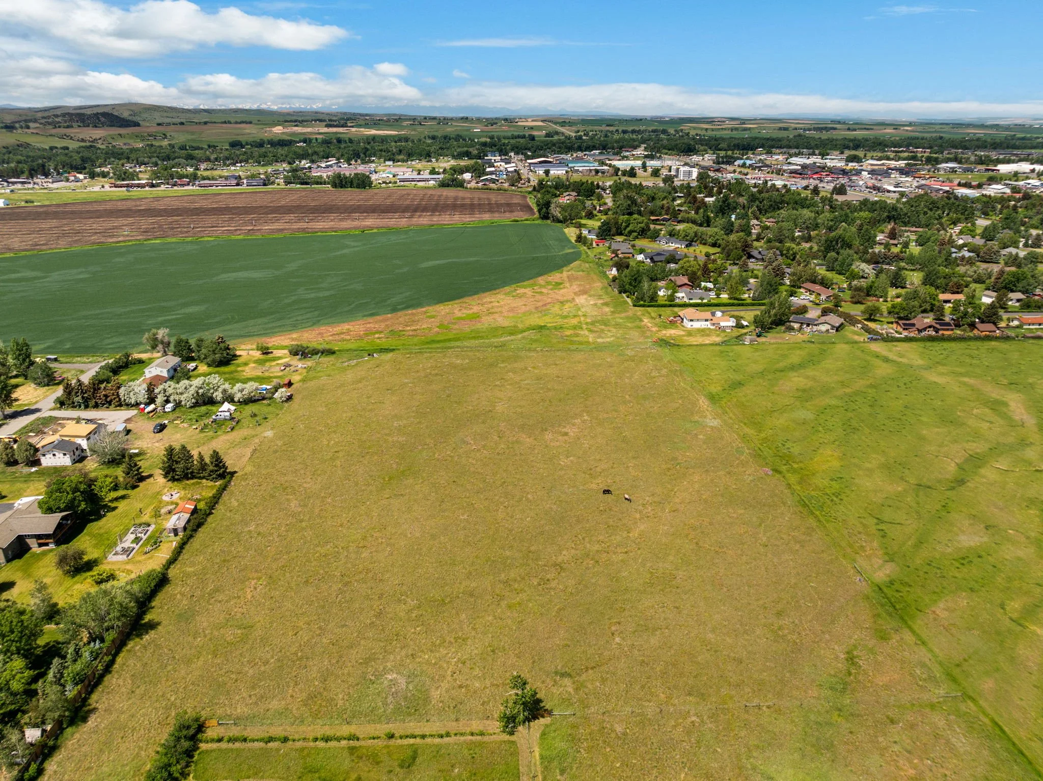 3-web-or-mls-DJI_0539.jpg