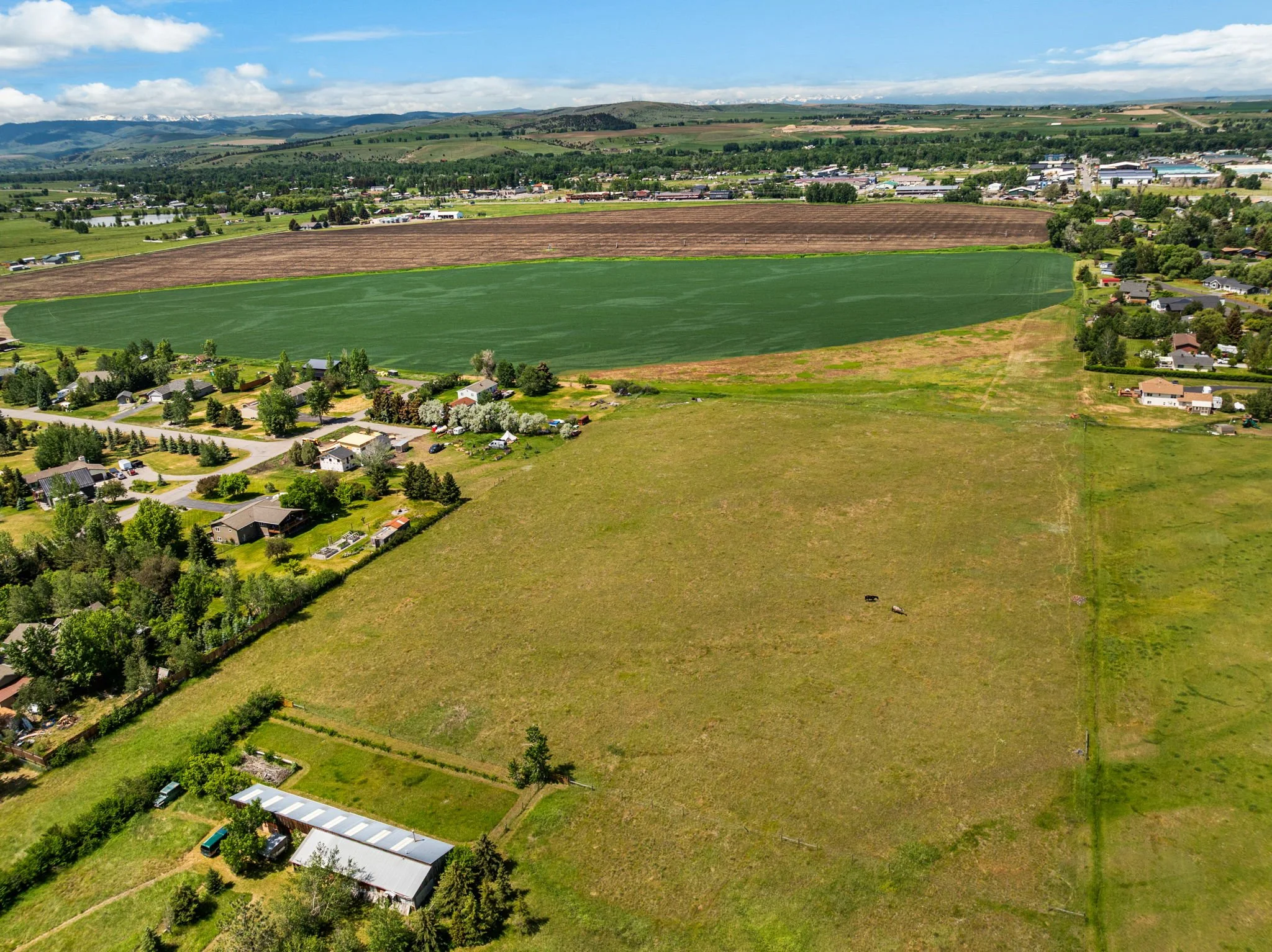 4-web-or-mls-DJI_0540.jpg