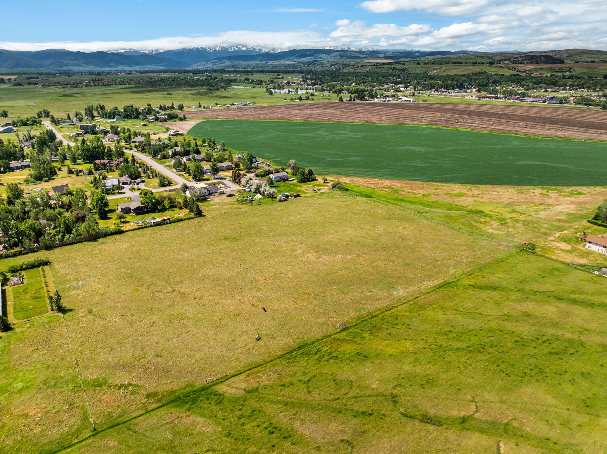 5-web-or-mls-DJI_0541.jpg