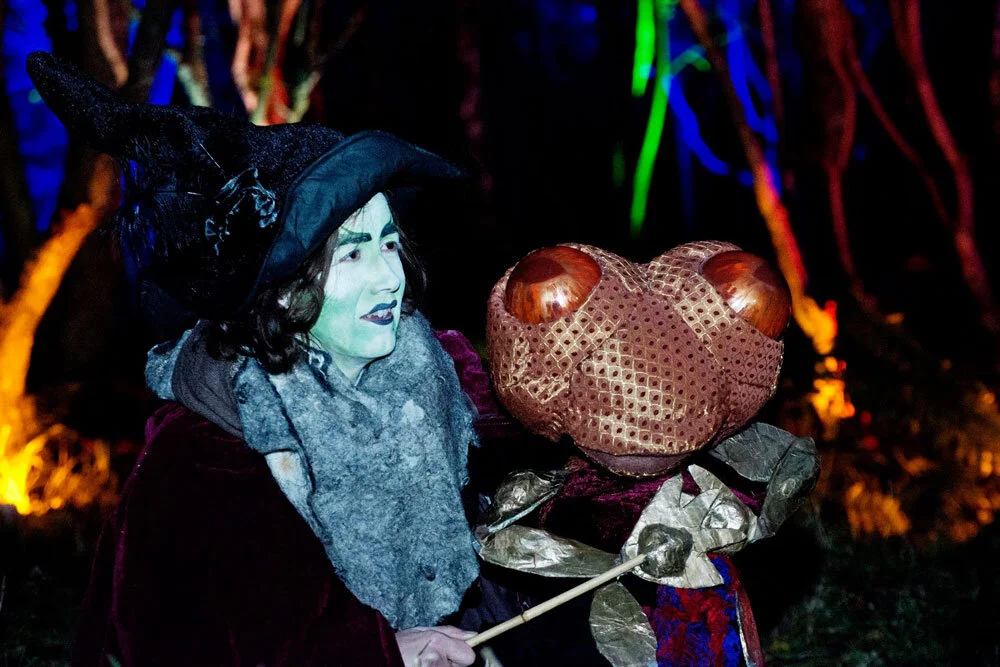 Witch + Frog