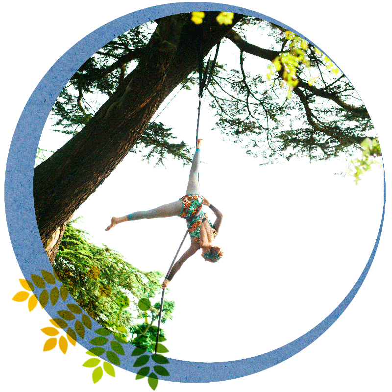 Aerialists.png