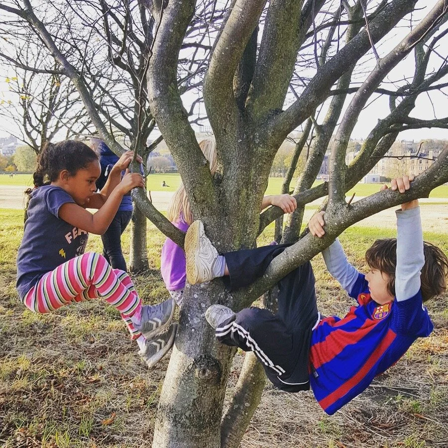 Forest Holiday Club 18th - 20th October