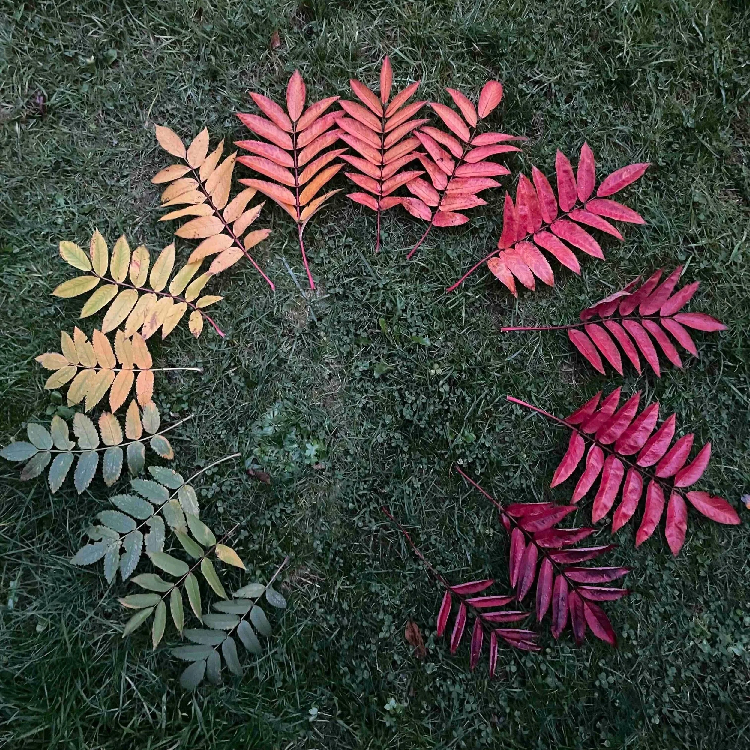 Celebrating 20 years of Rea!