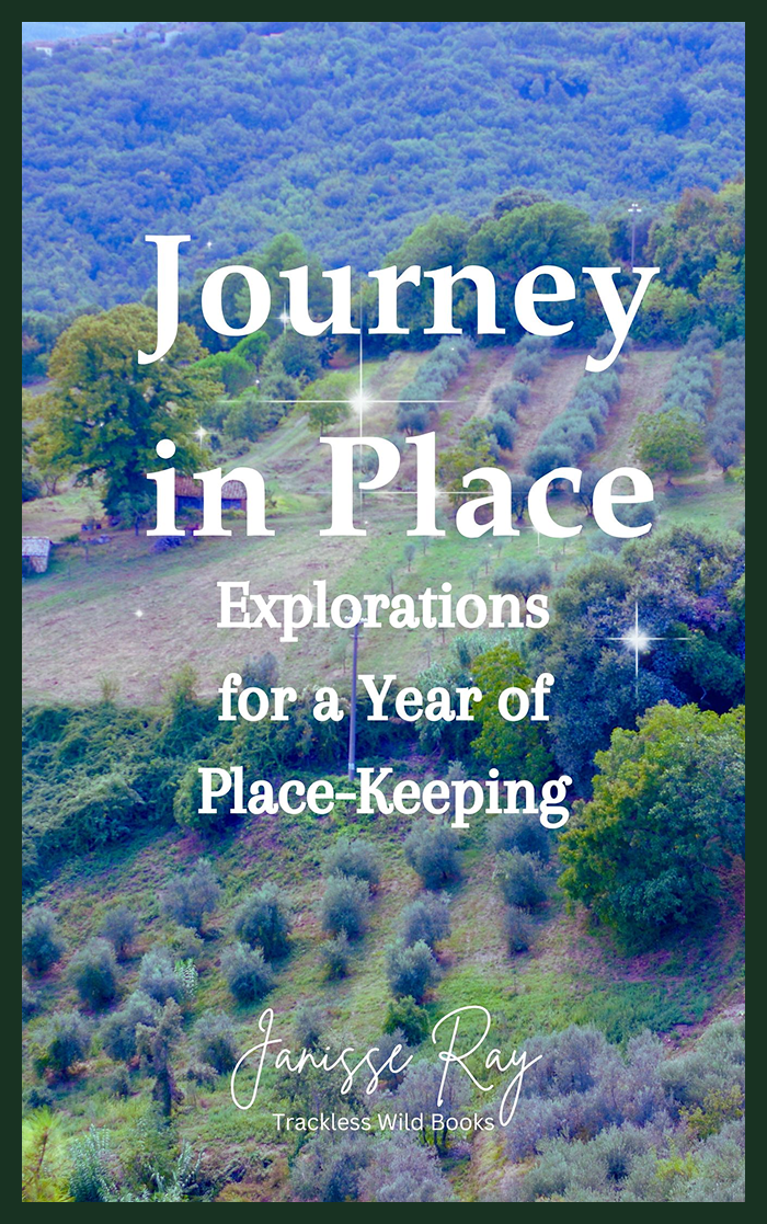 Lockerly Arboretum Deep Dive: Book Discussion