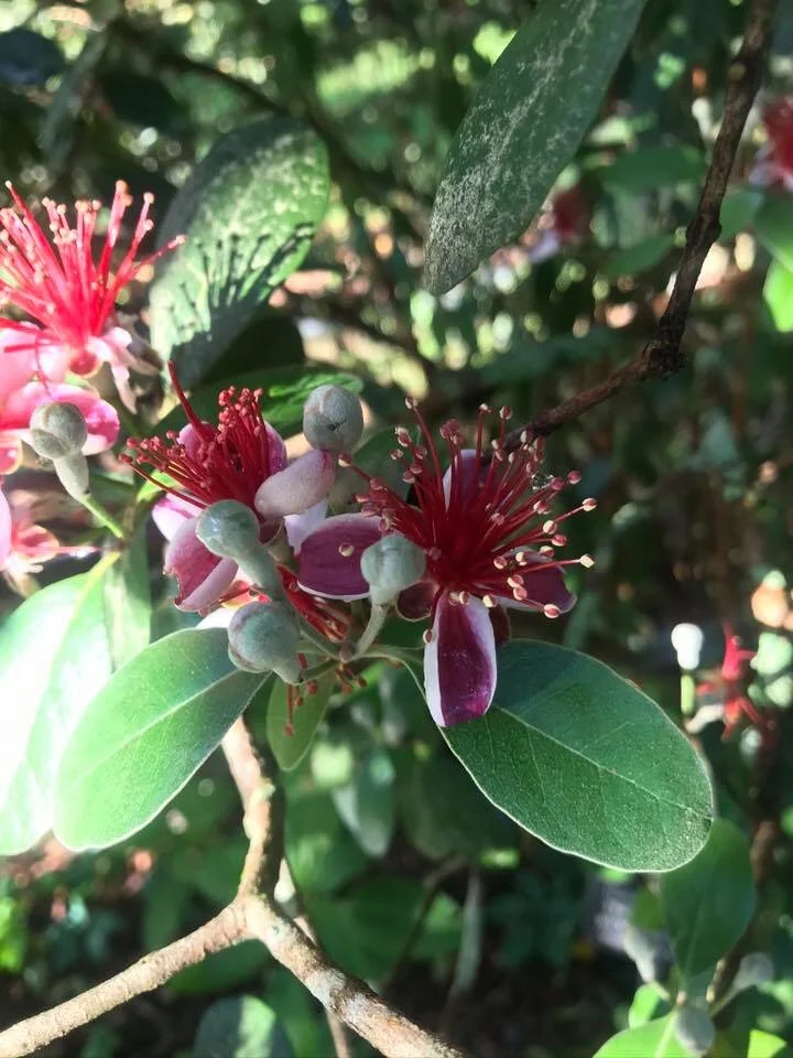 Lockerly slideshow 2.jpg