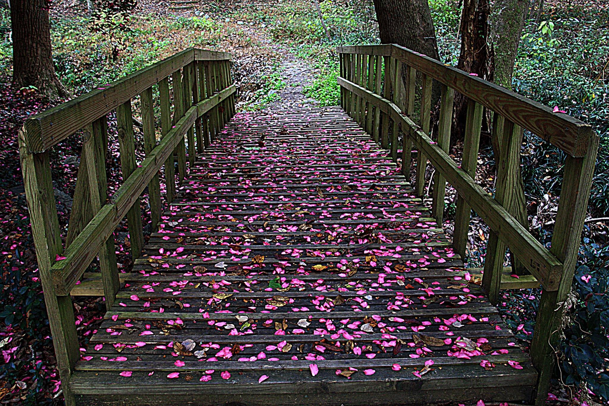 Lockerly slideshow 4.jpg