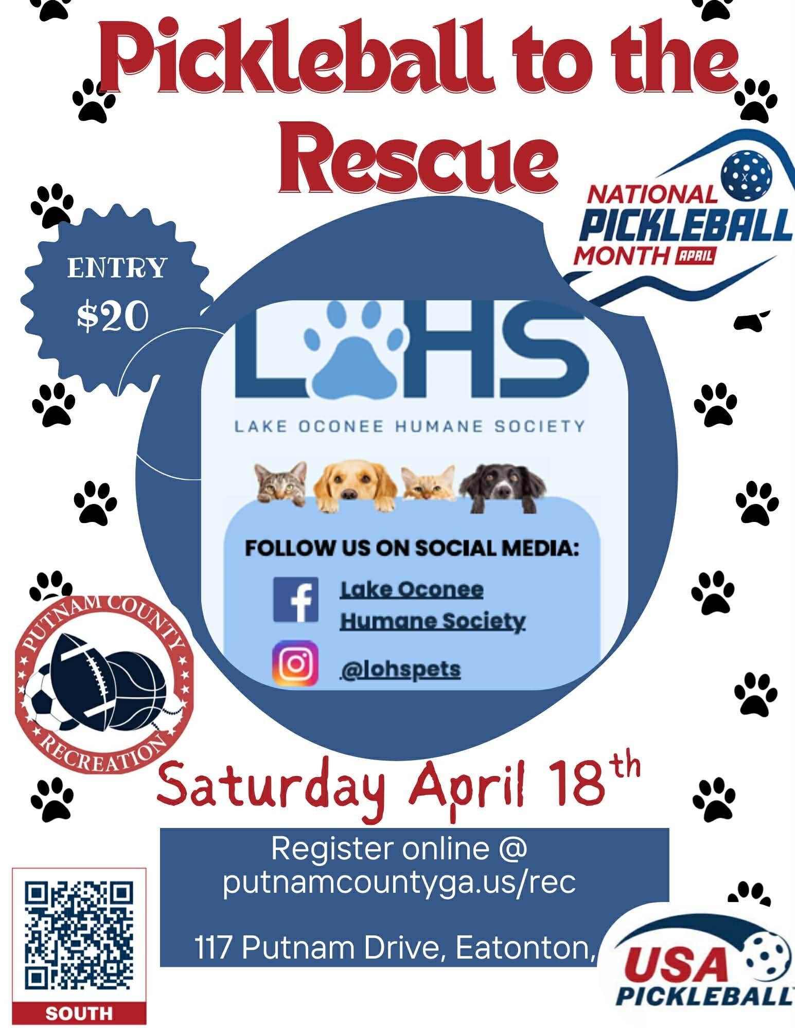 Pickleball to the Rescue