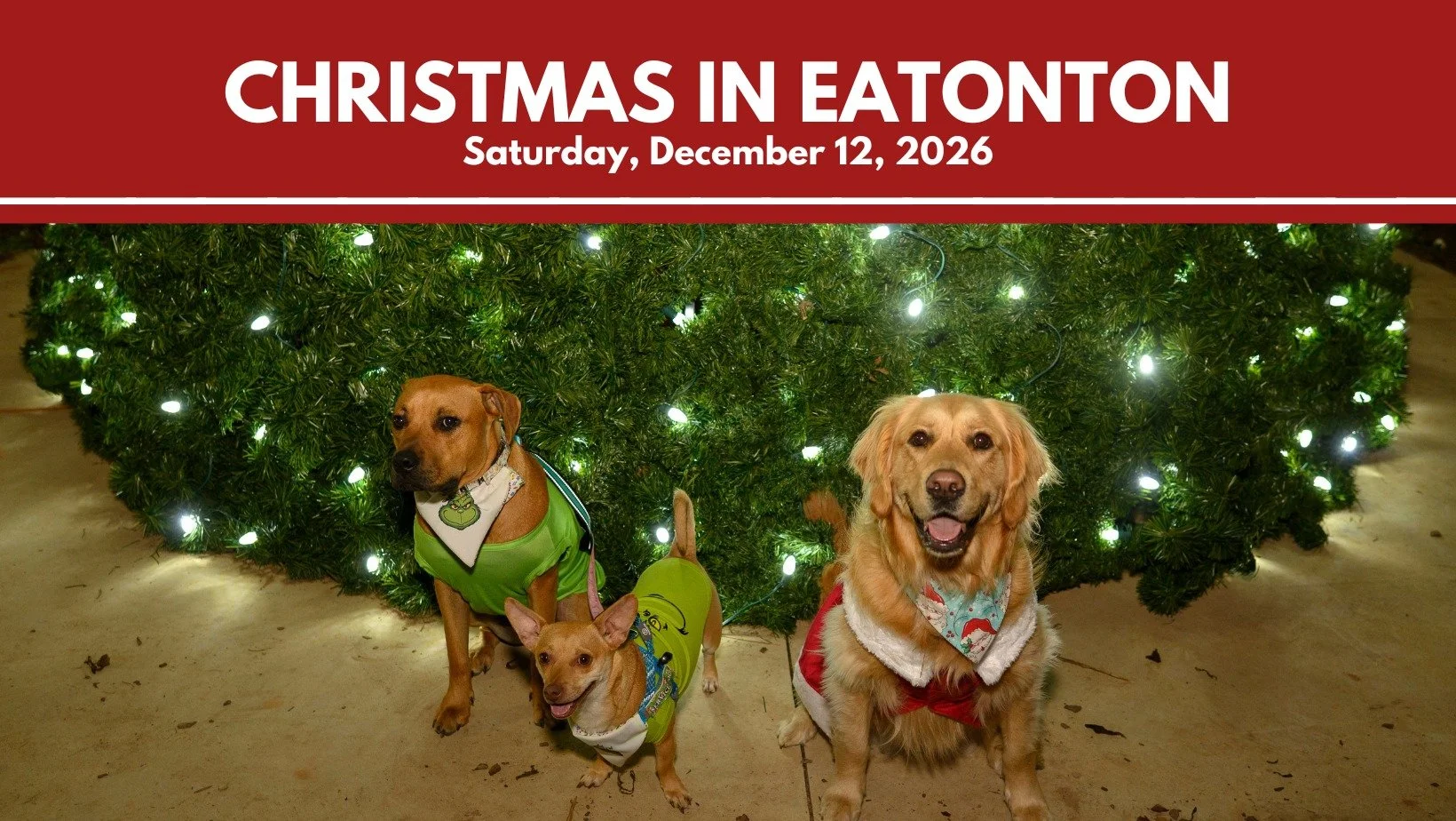 Christmas in Eatonton
