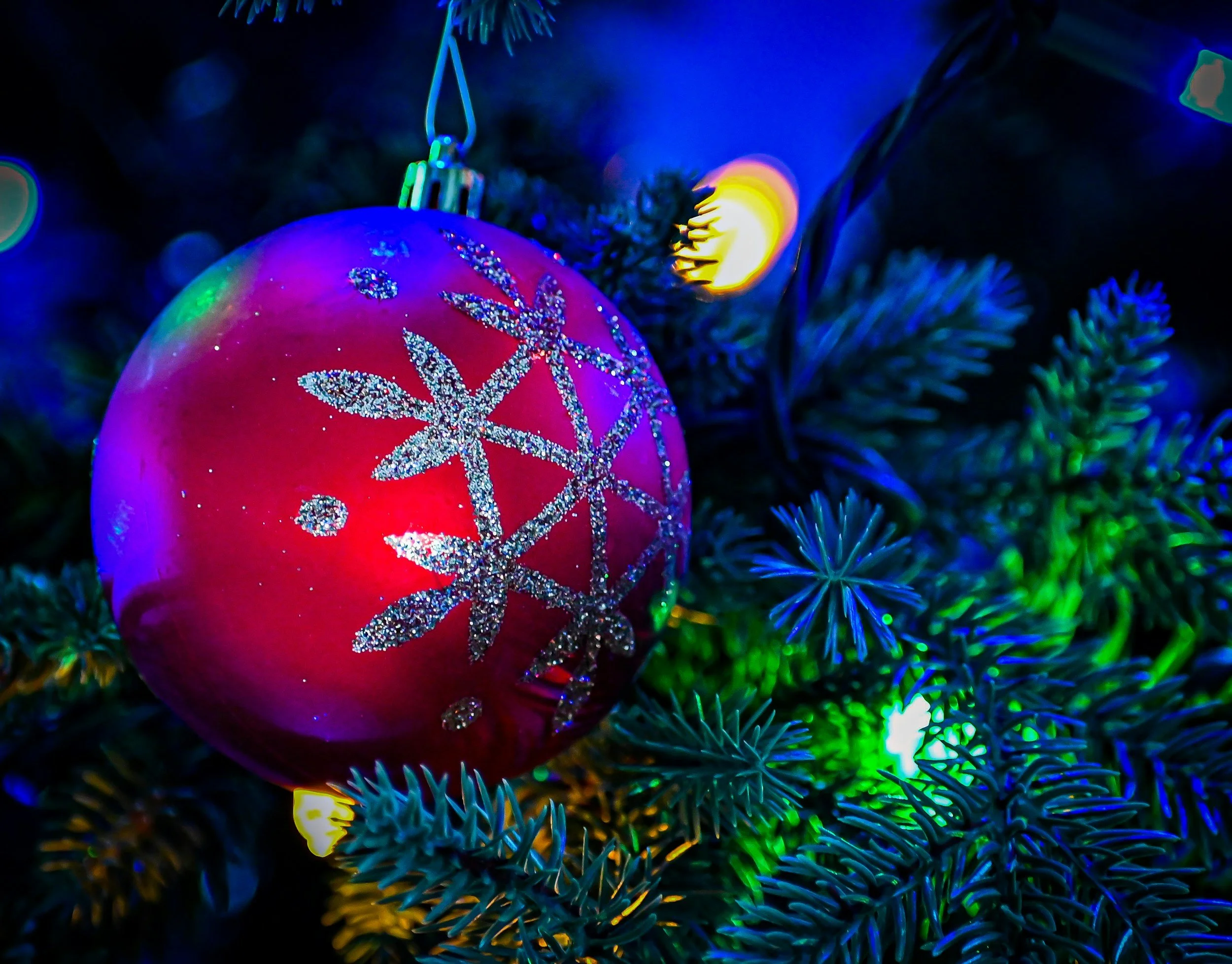 Christmas Light Show at  The Woodland Acres at Robbins Farm
