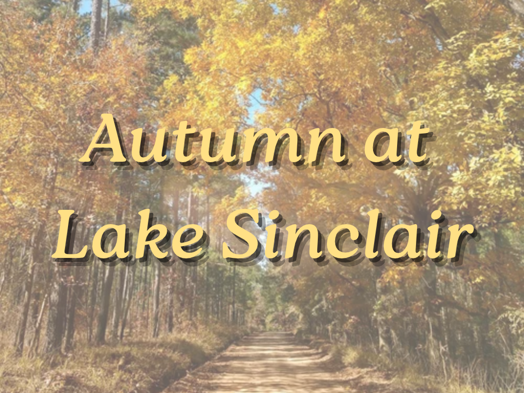 Autumn at Lake Sinclair