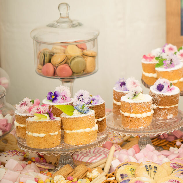 Mini Cakes — Blushing Cook