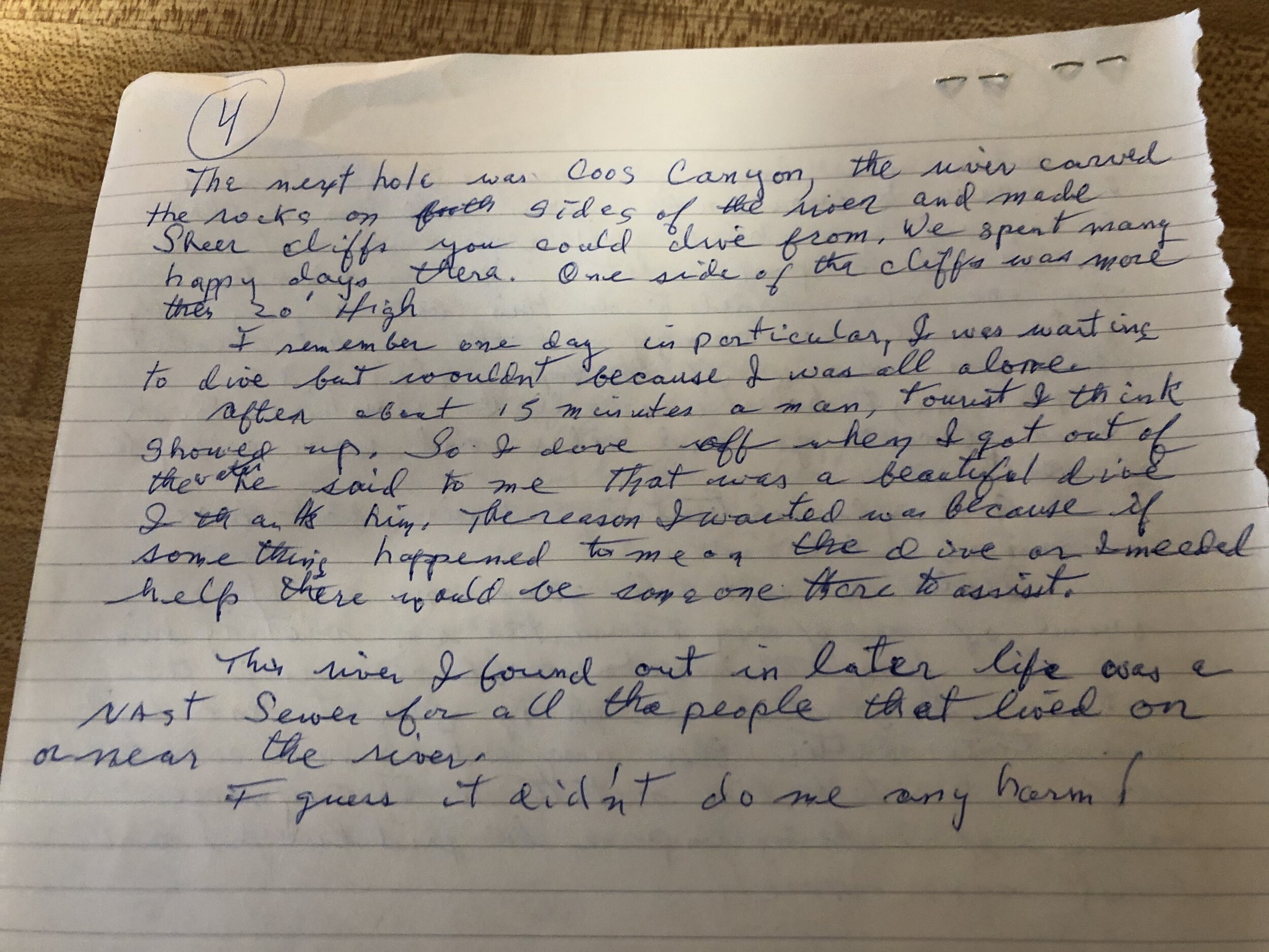 My father's journal entry