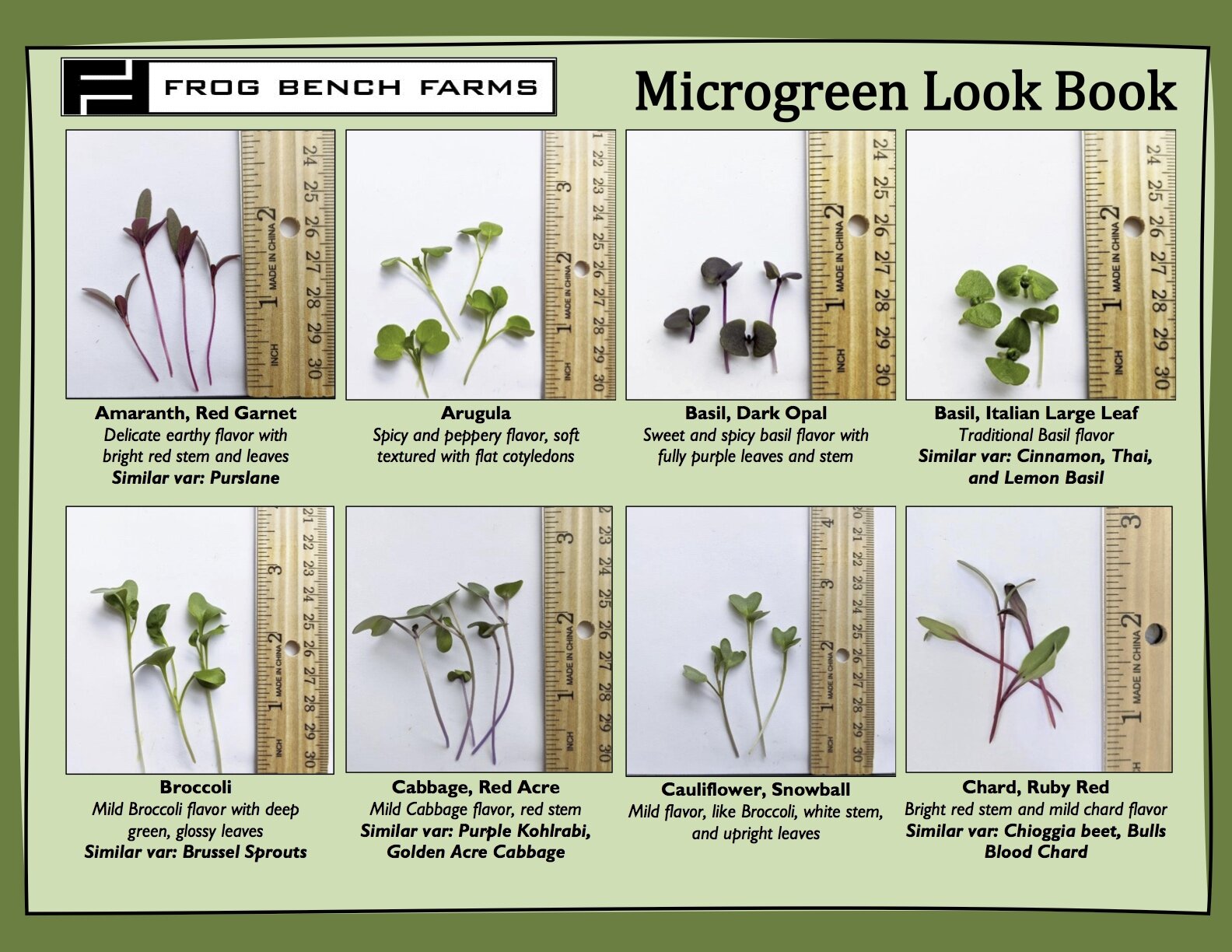 Page 1, Frog Bench Farms Microgreen Look Book.jpg