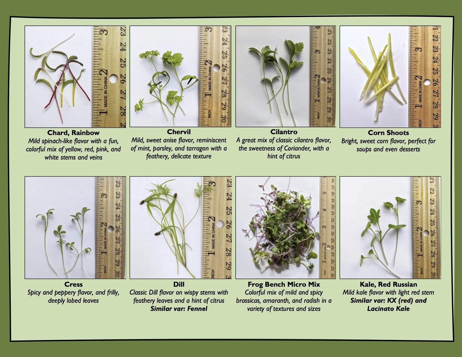 Page 2, Frog Bench Farms Microgreen Look Book.jpg